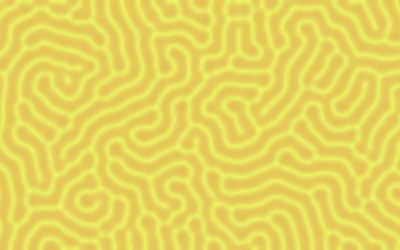 Journées Maths-Bio 2025
